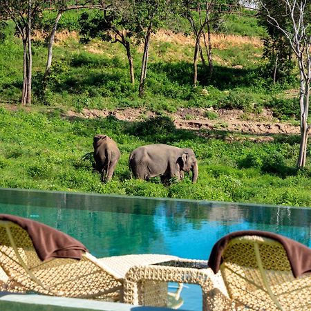 Wild Cottages Elephant Sanctuary Resort Amphoe Koksamui المظهر الخارجي الصورة