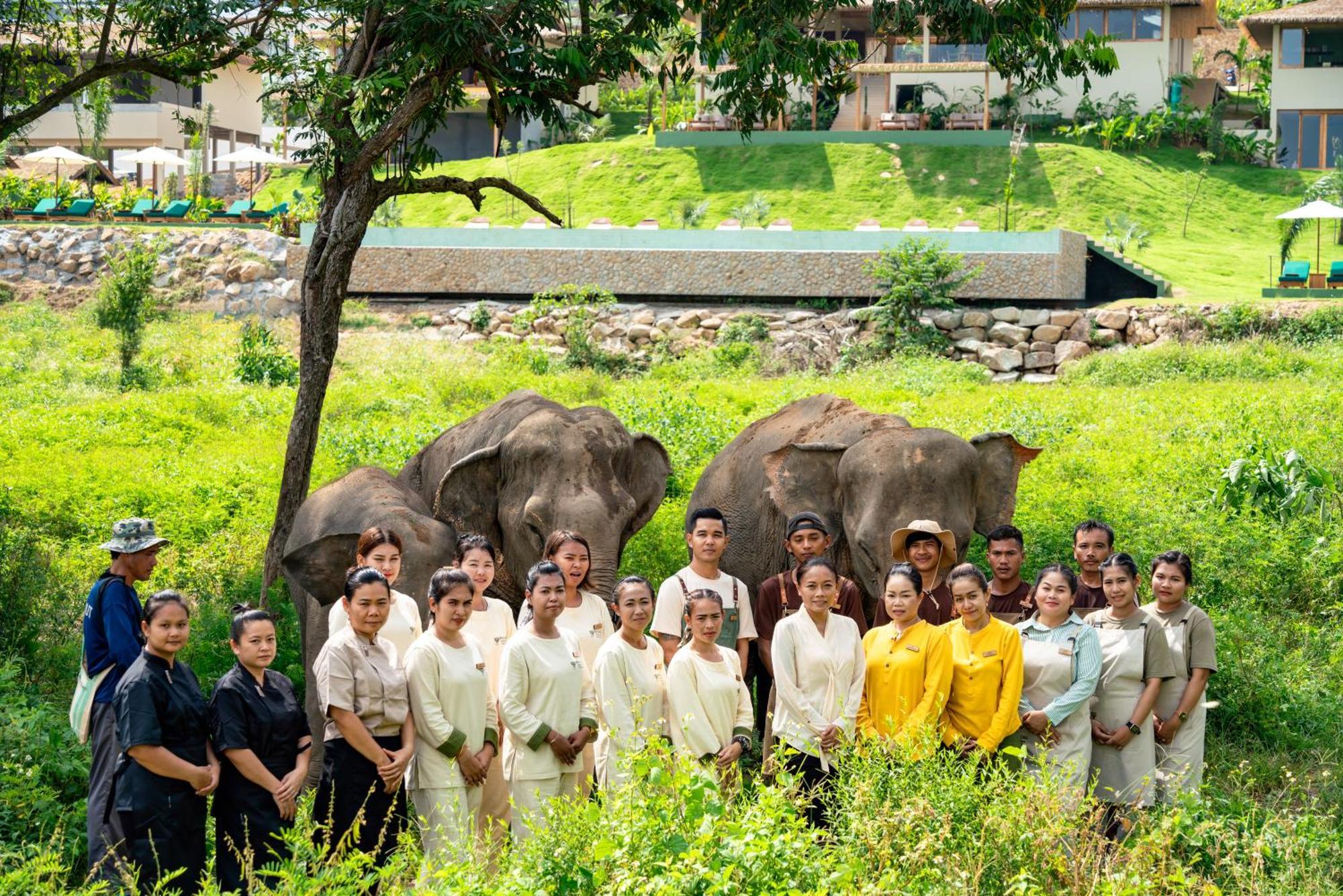 Wild Cottages Elephant Sanctuary Resort Amphoe Koksamui المظهر الخارجي الصورة