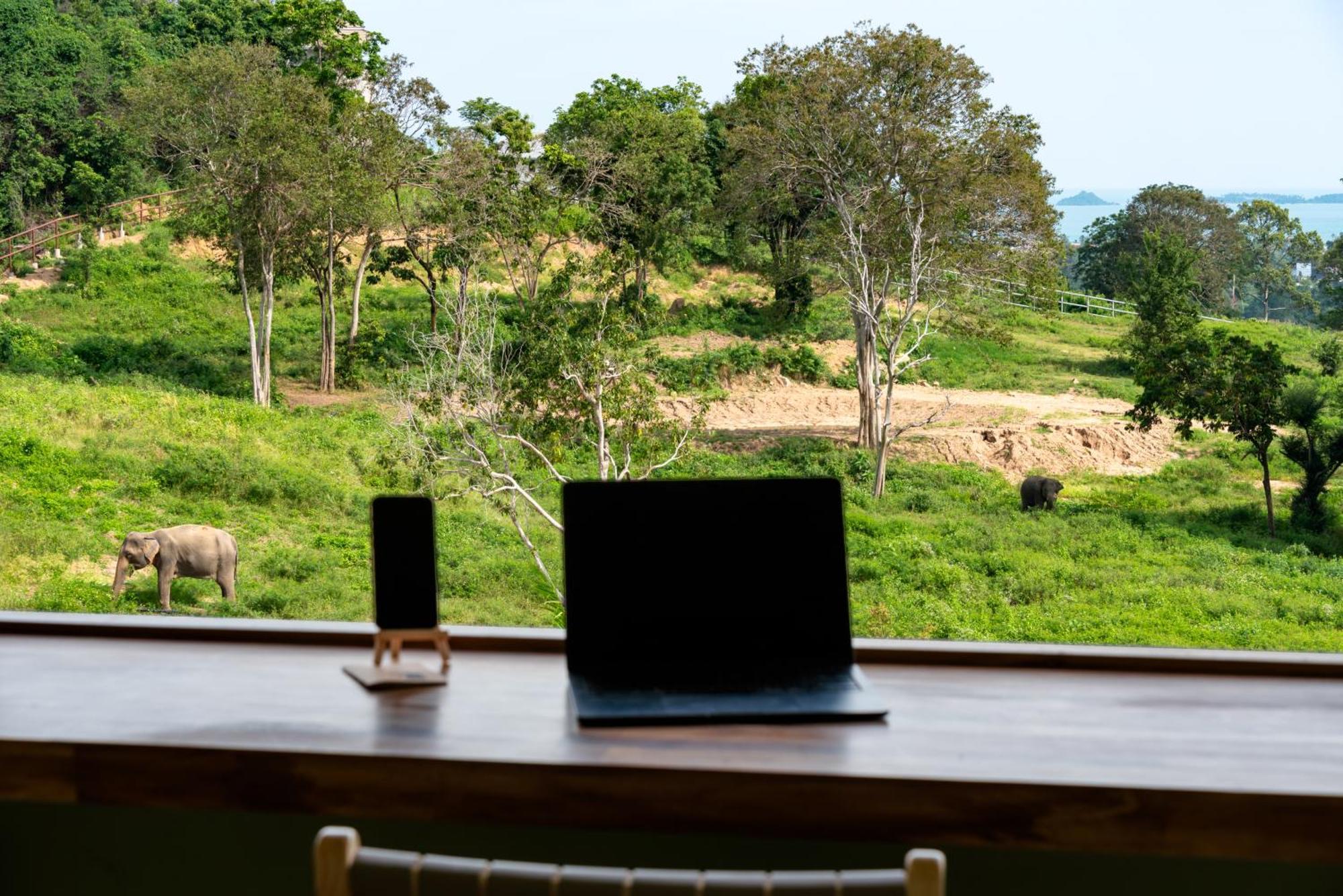 Wild Cottages Elephant Sanctuary Resort Amphoe Koksamui المظهر الخارجي الصورة