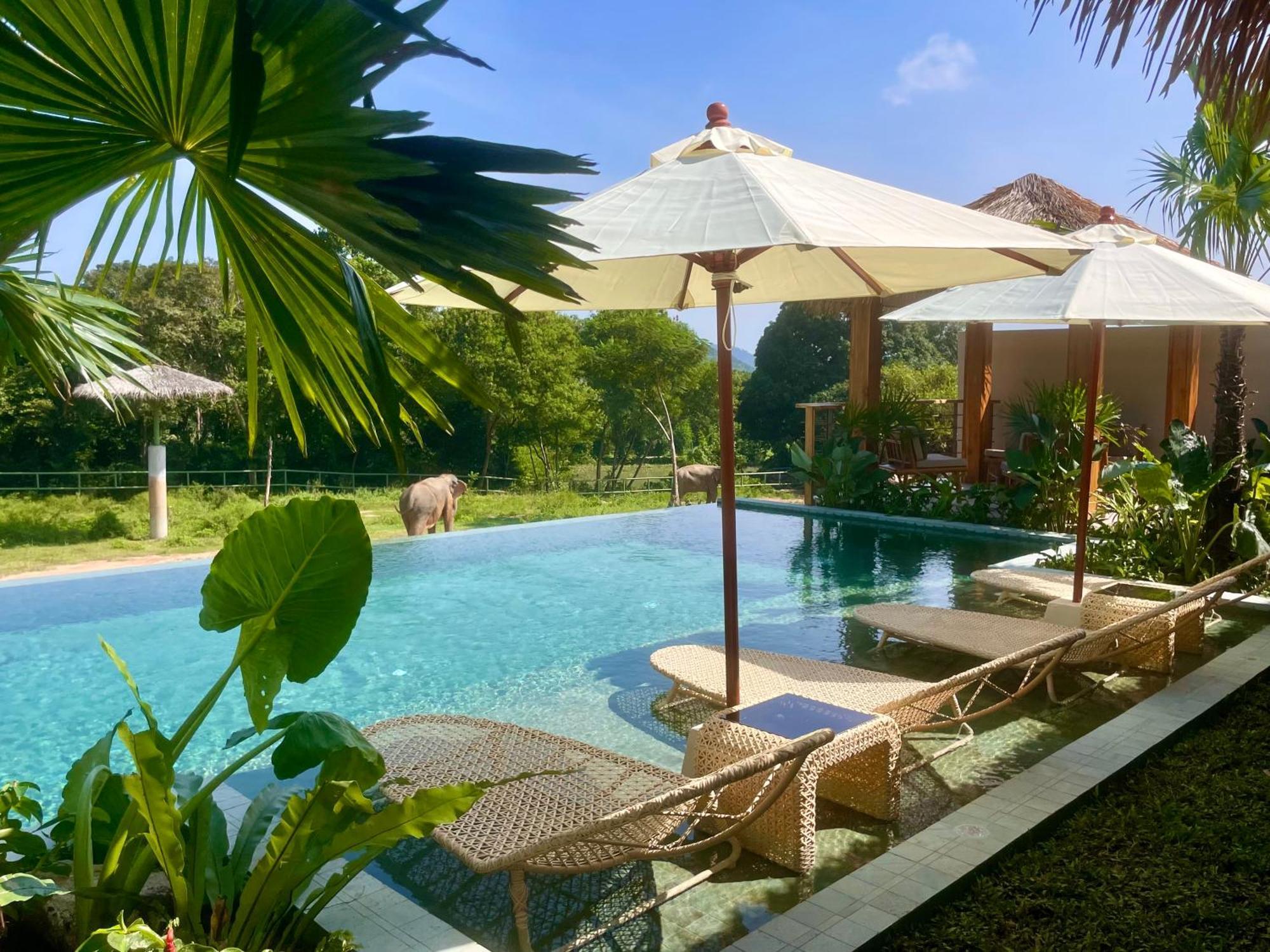 Wild Cottages Elephant Sanctuary Resort Amphoe Koksamui المظهر الخارجي الصورة