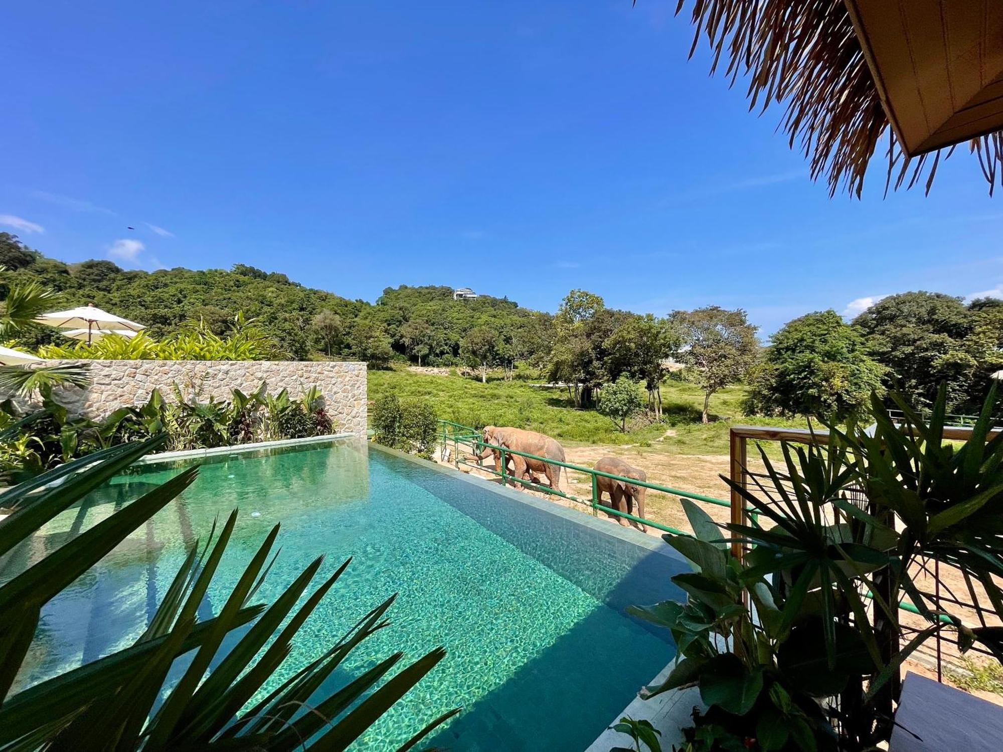 Wild Cottages Elephant Sanctuary Resort Amphoe Koksamui المظهر الخارجي الصورة