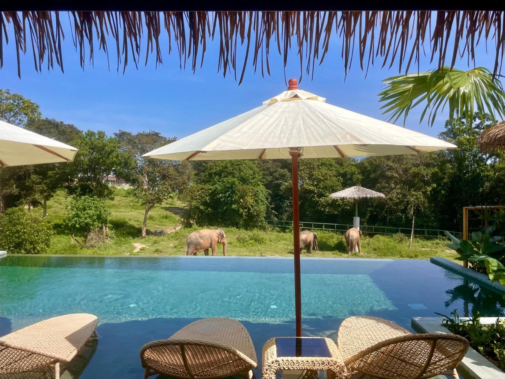 Wild Cottages Elephant Sanctuary Resort Amphoe Koksamui المظهر الخارجي الصورة